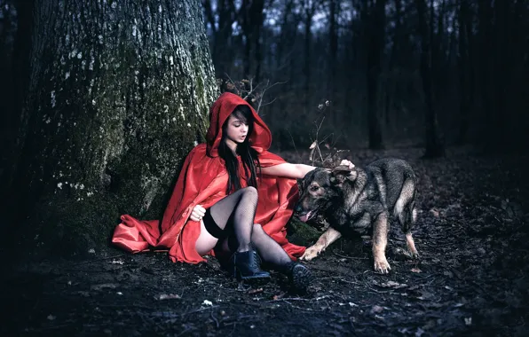 Picture forest, girl, tree, dog, legs, cloak, Arya, Laurent KC