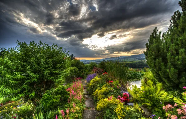 Picture greens, landscape, flowers, mountains, clouds, field, HDR, Switzerland, garden, track, forest, the bushes, Gommiswald