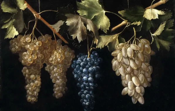 Picture picture, still life, Four Bunches Of Grapes, Juan Fernandez, El Labrador