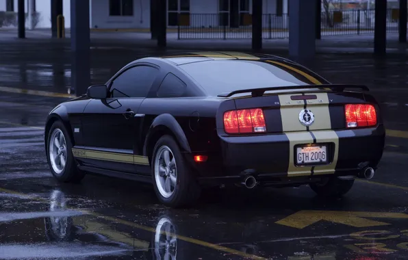 Picture Mustang, Shelby, GT500