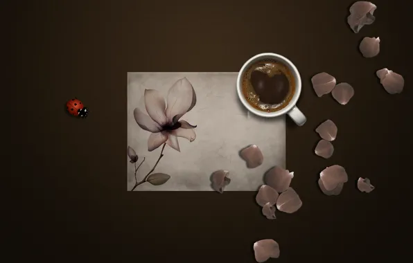 Picture flower, paper, background, ladybug, coffee, petals, mug, insect