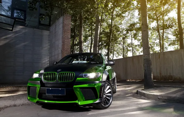 Picture green, tuning, bmw, BMW, tuning, the front, chrome
