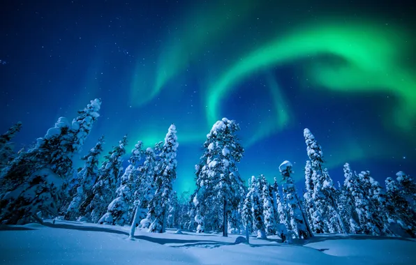 Picture winter, the sky, snow, trees, Northern lights, Finland, Finland, Lapland, Lapland