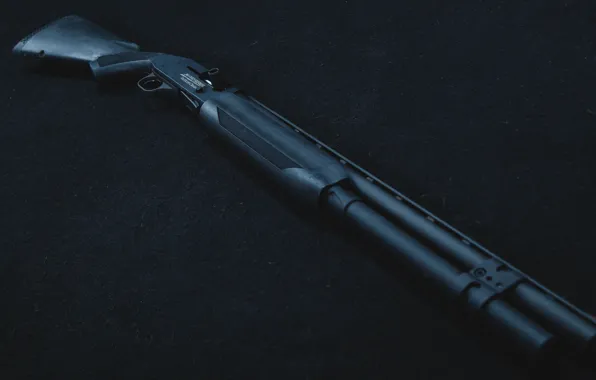 Picture weapons, the gun, pump, Mossberg 930