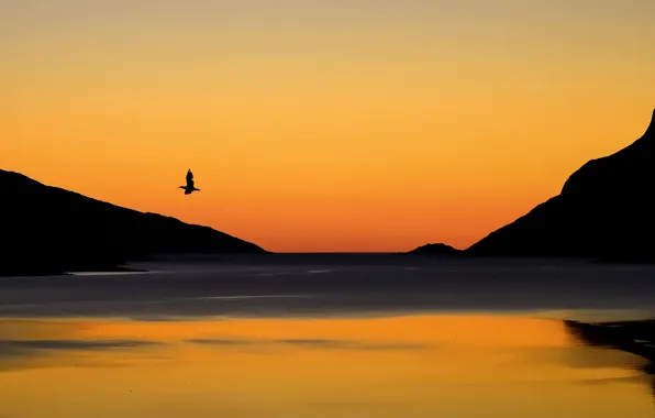 Picture the sky, landscape, sunset, mountains, lake, bird