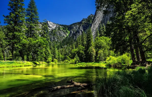 Picture trees, mountains, river, CA, Yosemite, California, Yosemite National Park, Sierra Nevada, the Merced river, Sierra …