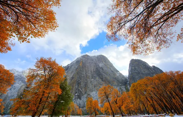 Picture autumn, the sky, leaves, clouds, snow, trees, mountains, CA, USA