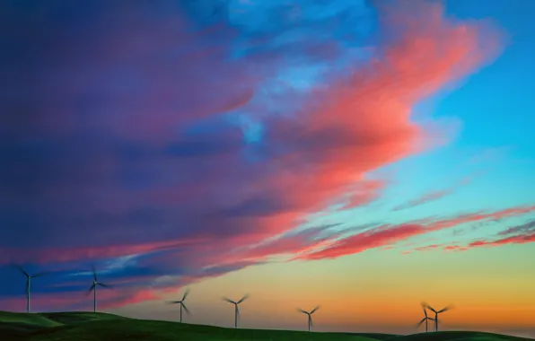 Picture field, summer, the sky, sunset, nature, windmills