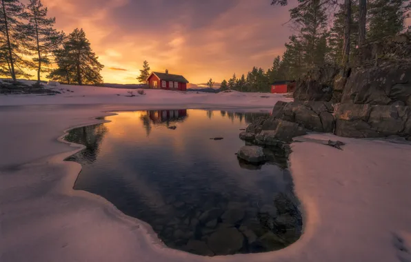 Picture winter, forest, houses, lake