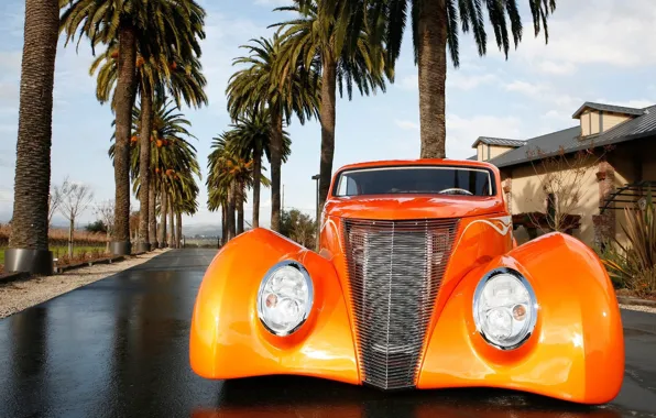 Picture Ford, Tuning, Palm trees, Orange