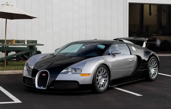 Picture Bugatti, Veyron, Black, Silver