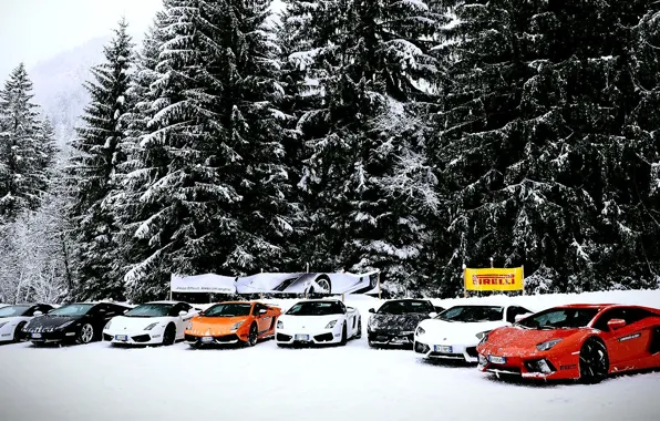 Picture Lamborghini, Gallardo, cars, snow, Aventador, mix