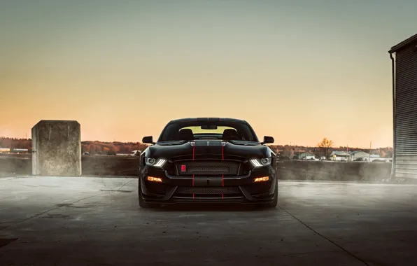 Picture Mustang, Ford, Shelby, Black, Night, 2016, GT350r