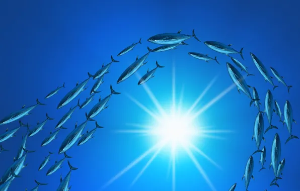 Picture the sun, blue, fish, Cant