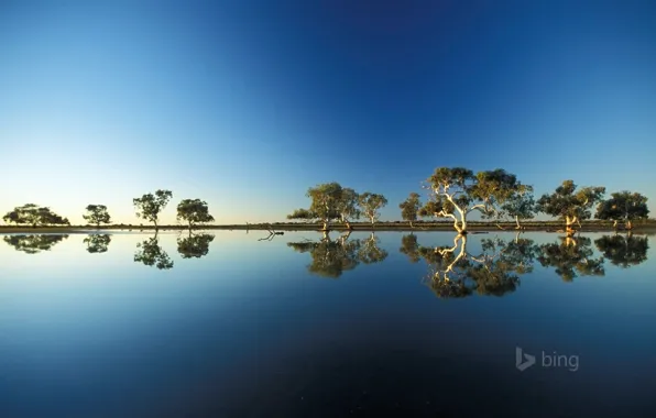 Picture the sky, water, trees, reflection, spill, Australia