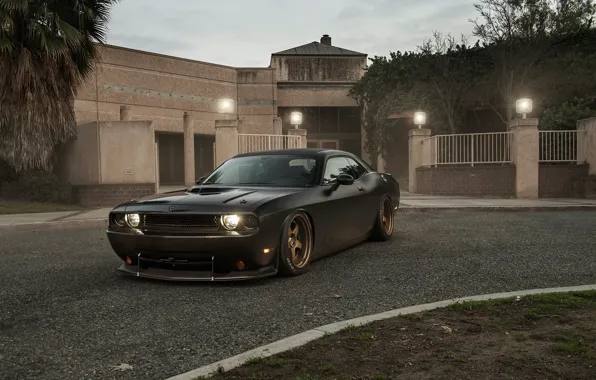 Picture Muscle, Dodge, Challenger, Car, Front, Black, Matte, Tuning, R/T, Wheels, Ligth