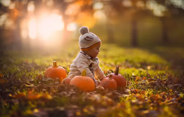 Picture autumn, nature, pumpkin, child, bokeh