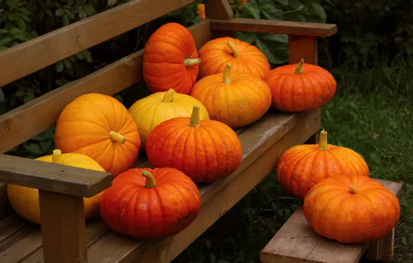 Picture autumn, bench, nature, fruit, pumpkin, vegetables