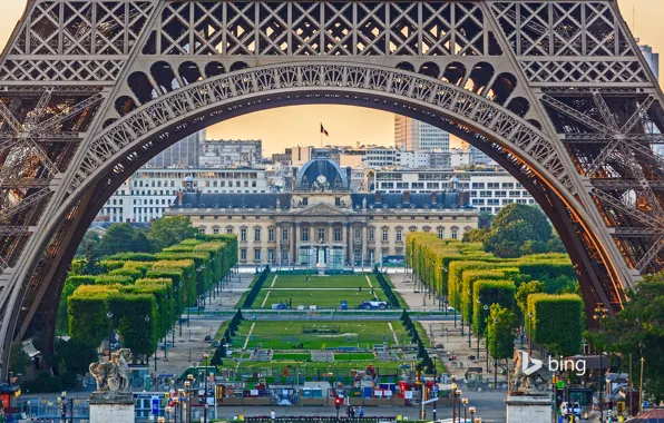 Picture trees, France, Paris, Eiffel tower