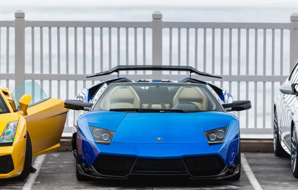 Picture bmw, Roadster, Lamborghini, Gallardo, yellow, blue, Murcielago