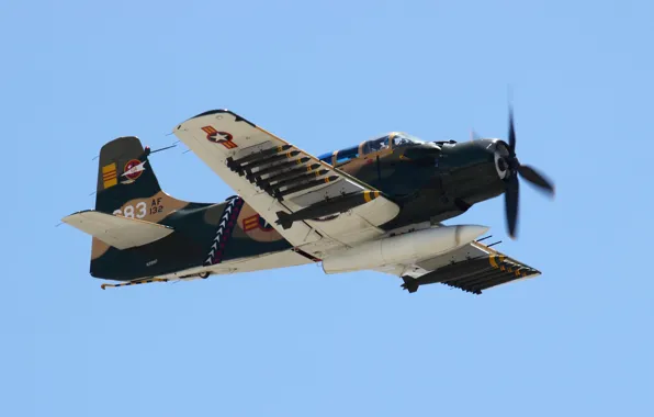 Picture attack, "Skyraider", Skyraider, A-1