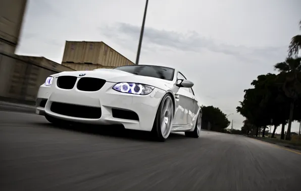 Picture road, white, the sky, palm trees, bmw, BMW, white, road, containers, speed, e92, daylight