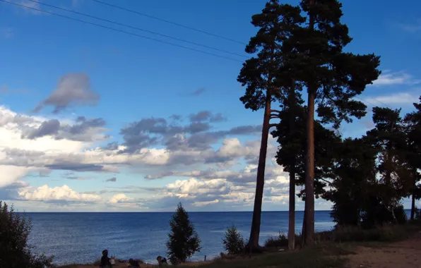 Picture the sky, clouds, trees, nature, lake, photo, Russia, Ladoga