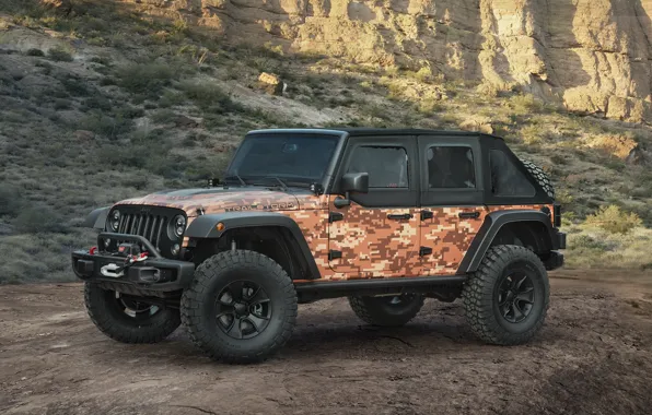Picture Concept, SUV, Jeep, 2016, Trailstorm