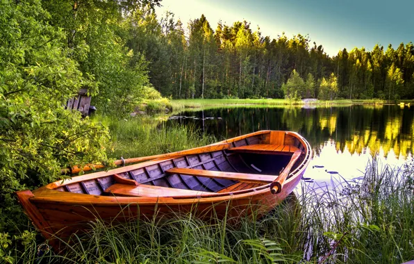 Picture trees, landscape, nature, lake, boat
