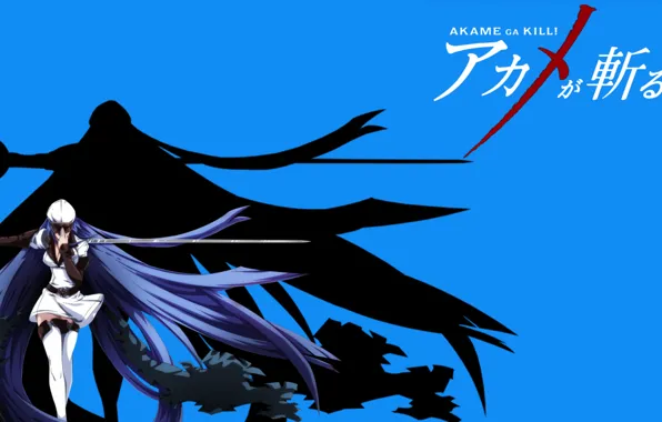 Picture blue background, Esdeath, akame ga kill