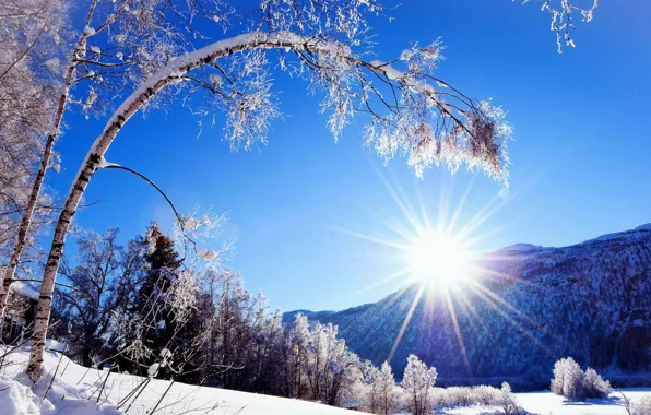 Picture winter, the sky, the sun, rays, snow, trees, mountains