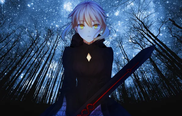 Picture Girl, Anime, Fate/Stay Night, Night, Saber, Forest, Type-Moon, Fate, Dark but, Saber Age