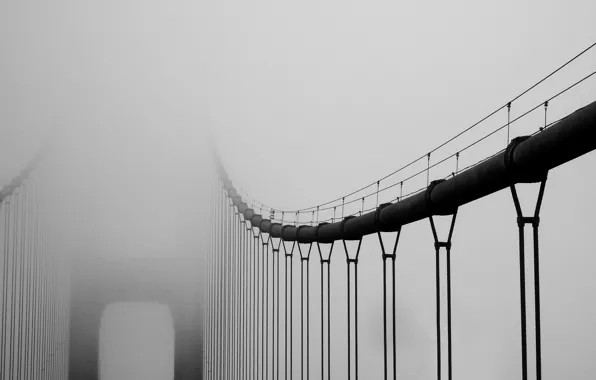Picture bridge, city, the city, fog, california, Golden Gate Bridge, bridge, San Francisco, fog, 2560x1600