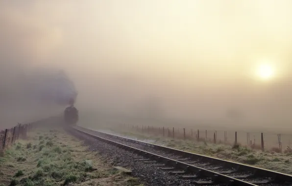 Picture fog, train, railroad