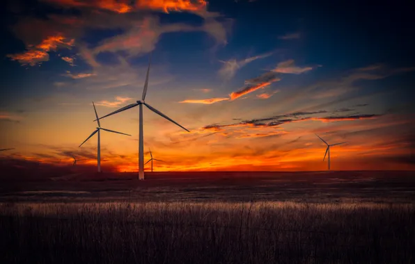 Picture field, sunset, windmills
