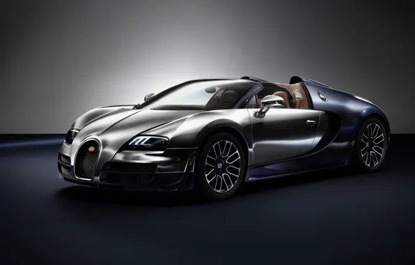 Picture Bugatti, Veyron, 2014, Ettore