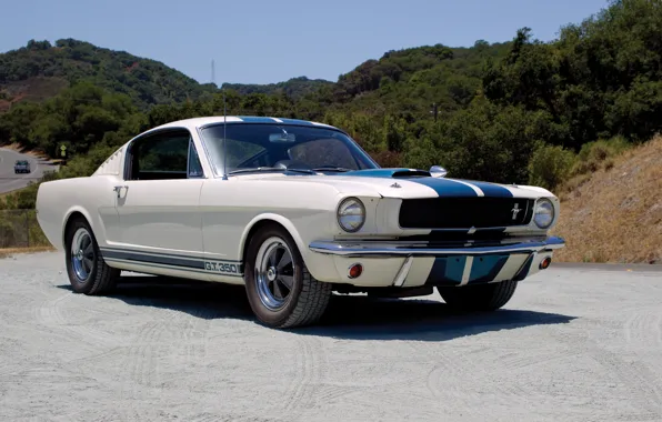 Picture Mustang, Ford, Shelby, Prototype, Mustang, Ford, Shelby, 1965, GT350, Paxton