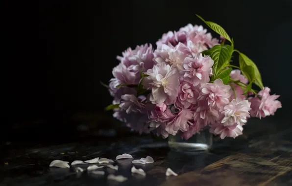 Picture bouquet, petals, Blossom