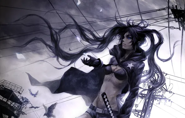 Picture birds, the wind, wire, black rock shooter