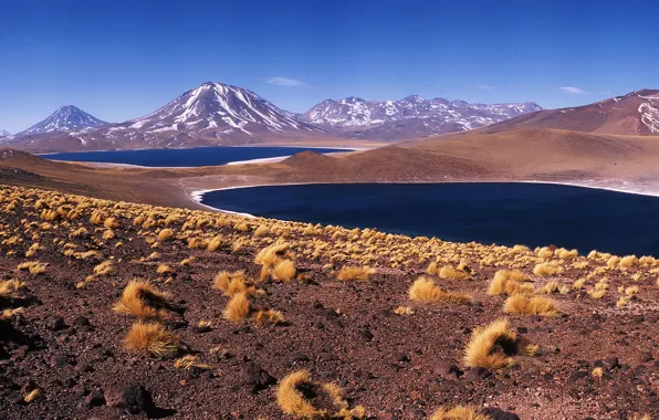 Picture mountains, nature, Bolivia, San Pedro de Atacama, Miscanti, geyser, gaps, Valle de la Luna