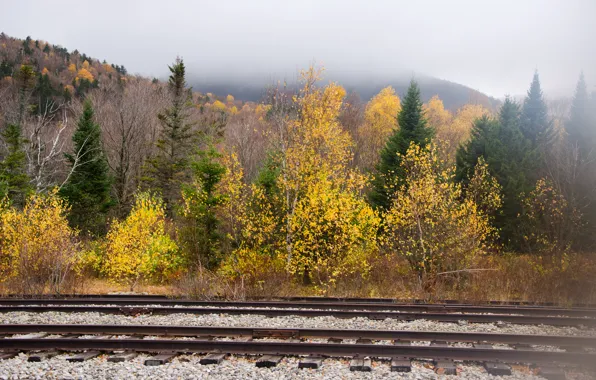Picture autumn, trees, mountains, fog, rails, Nature, trees, autumn, mountain, fog, fall
