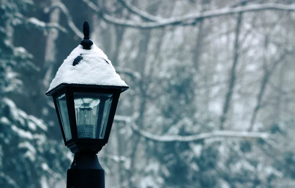 Picture winter, light bulb, snow, lantern