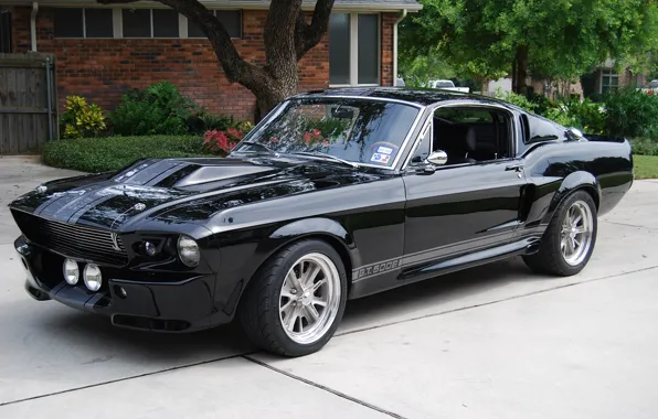 Picture Shelby, GT500, Ford Mustang