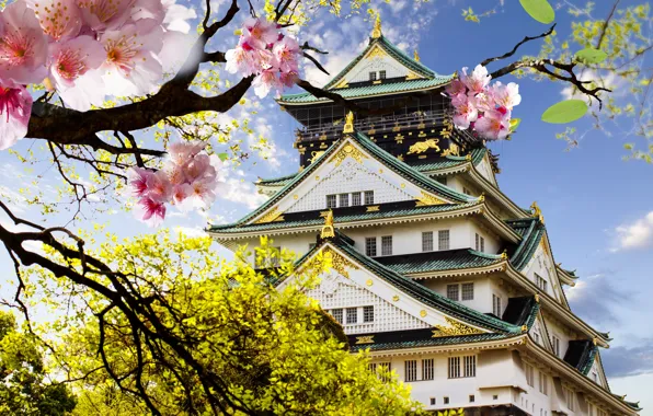 Picture castle, Japan, Sakura, flowering, Japanese, castle, japanese