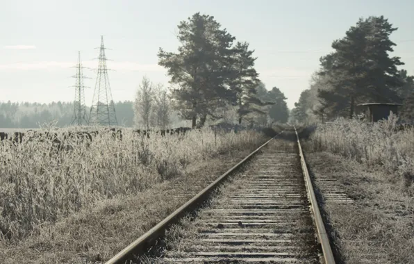 Picture frost, forest, snow, railroad