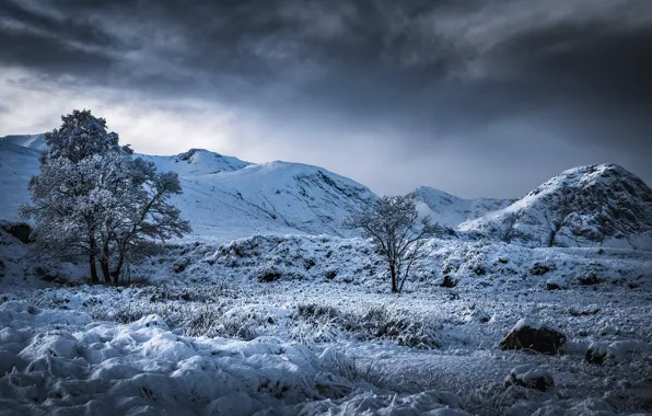 Picture winter, trees, mountains, valley, Scotland, Scotland, Highland, Highland, Glencoe, Glen Coe