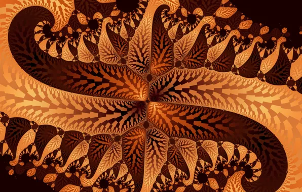 Picture leaves, pattern, petals, fractal, symmetry