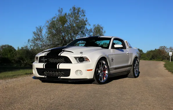 Picture Mustang, Ford, Shelby, GT500, Mustang, Ford