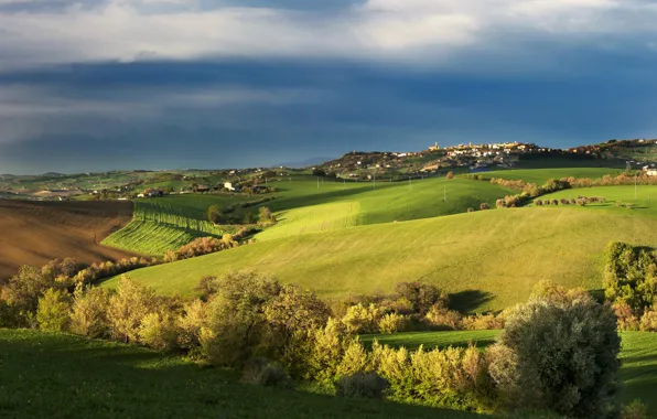Picture field, autumn, the sky, clouds, trees, Italy, blue, the village, Tuscany