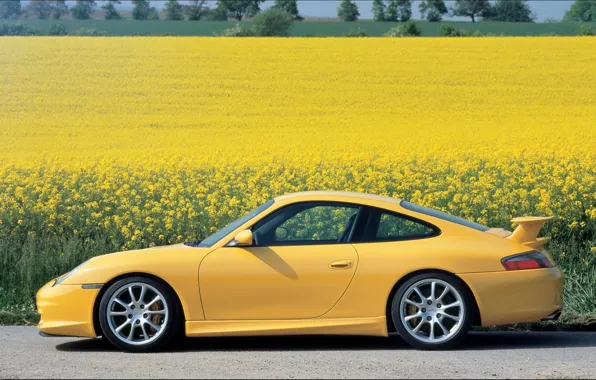 Picture flowers, yellow, 911, Porsche, Porsche, GT3